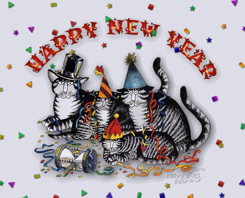 Featured image of post New Year Gif Cat