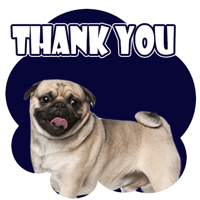 Featured image of post Thank You Gif Dog To express your sincere gratitude with words is not always easy
