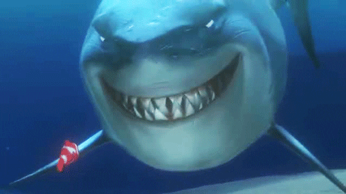 Shark Bait Nemo Gif