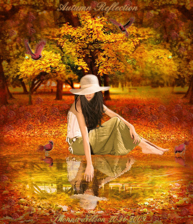 autumn reflection nature animated autumn country leaves fall gif