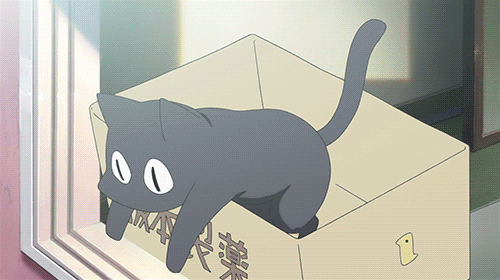 Cat Anime Kitty Gif On Gifer By Tewield Cool Anime Cats GIF - LowGif