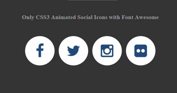only css3 animated social icons with font awesome