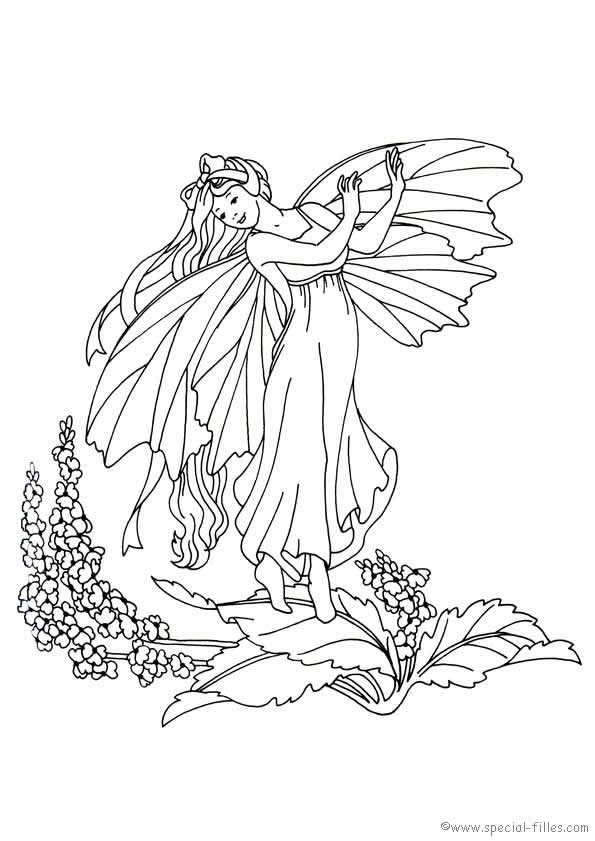 fairies 999 coloring pages graphics stencils pinterest