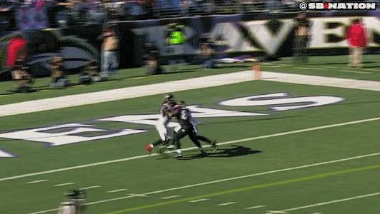 steve smith fight gif nfl week7 smith discover share