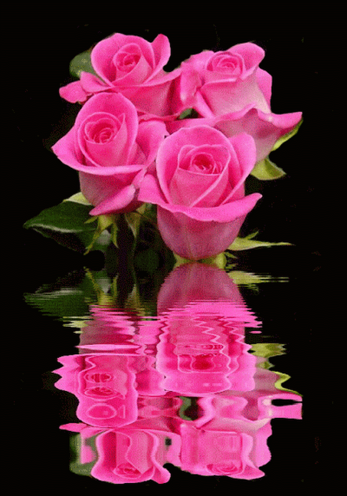 Мерцающие розовые розы. Анимационные цветы. Красивые живые цветы. Красивые анимированные цветы. Красивый цветок картинка анимация