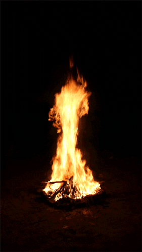 fire bonfire gif find share on giphy