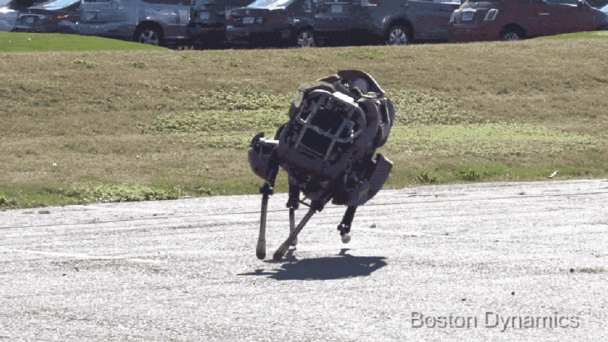 terrifying wildcat military robot can hunt down any human in 9 seconds