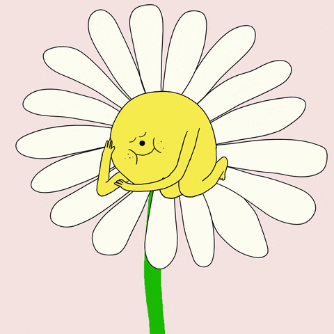 animation art happy cute sleep flower peace spring good