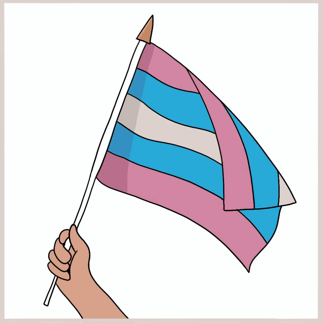 international transgender day of visibility community health and social innovation chasi hub canadian flag gif