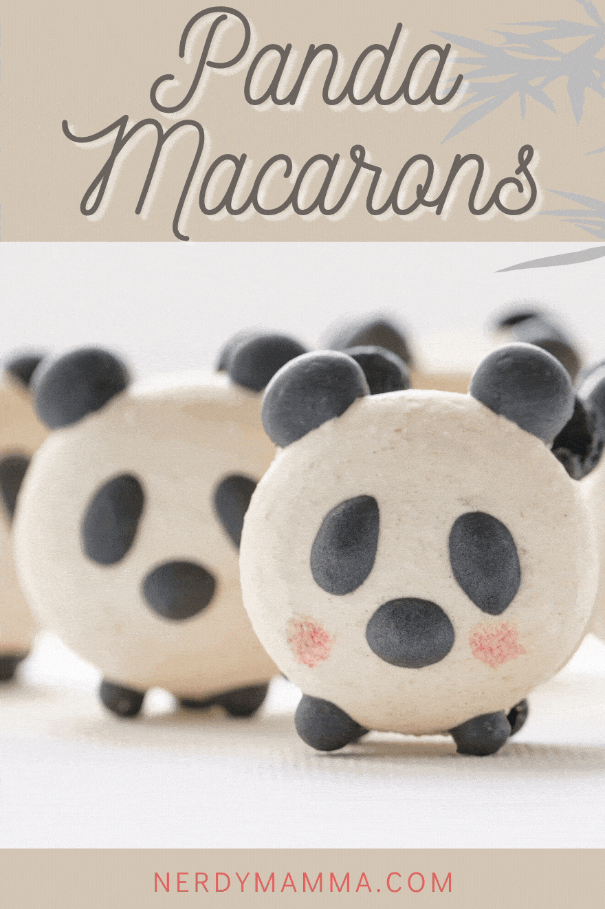 panda macarons funny pictures with captions