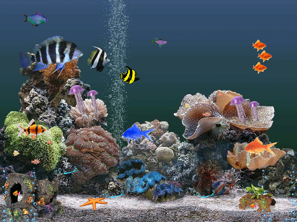 Люди на экран живые. Живые рыбки. Живой аквариум. Аквариум 3д. Скринсейвер рыбки.