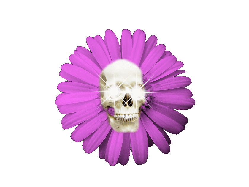 flower sticker by souvenirjewelry for ios android giphy metallica skull logo
