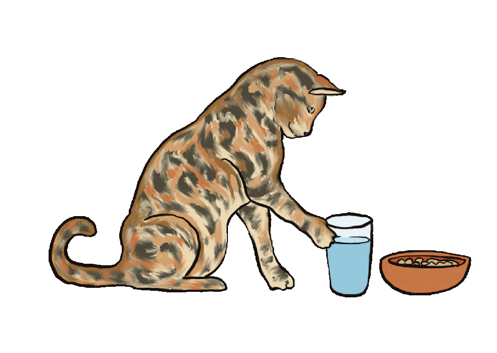 lina kartika on behance tons of cat drinking water gif
