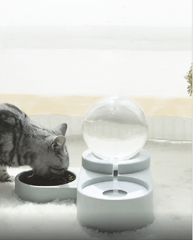 buy 1 8l bubble pet bowl food automatic feeder fountain water drinking for cat dog kitten feeding container travel portable supplies dispenser kettle head fordeal tons of gif
