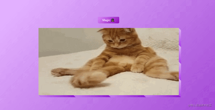 what have i learned to complete 50 web projects with javascript in days segmentfault tons of cat drinking water gif