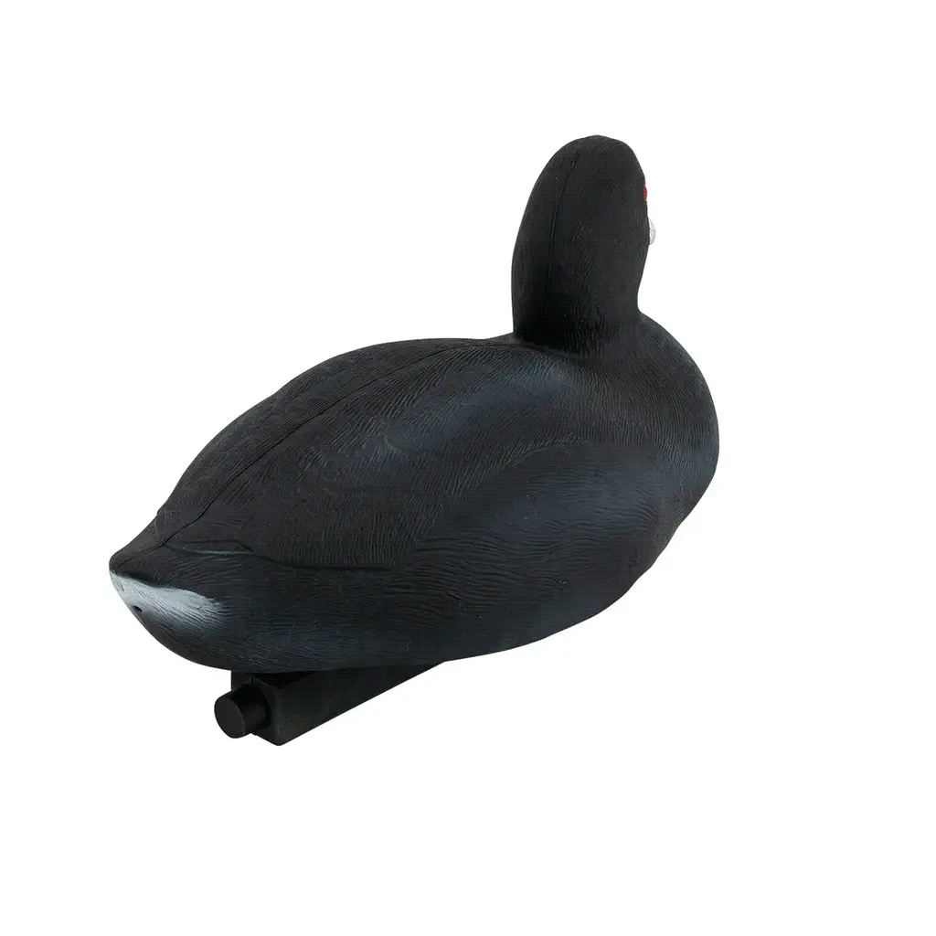 pro series coot tanglefree shop