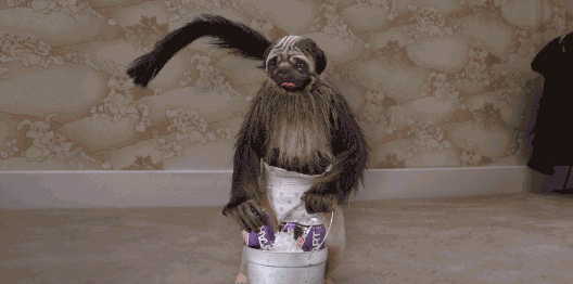 super bowl 2016 gif by mountain dew find share on giphy