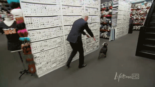 funny gifs bad day project runway tim gunn pick me up