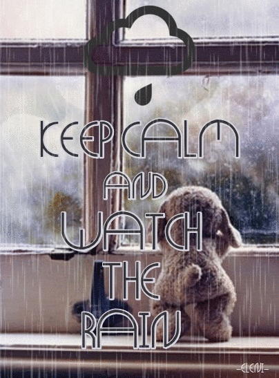keep calm and watch the rain pictures photos and images for