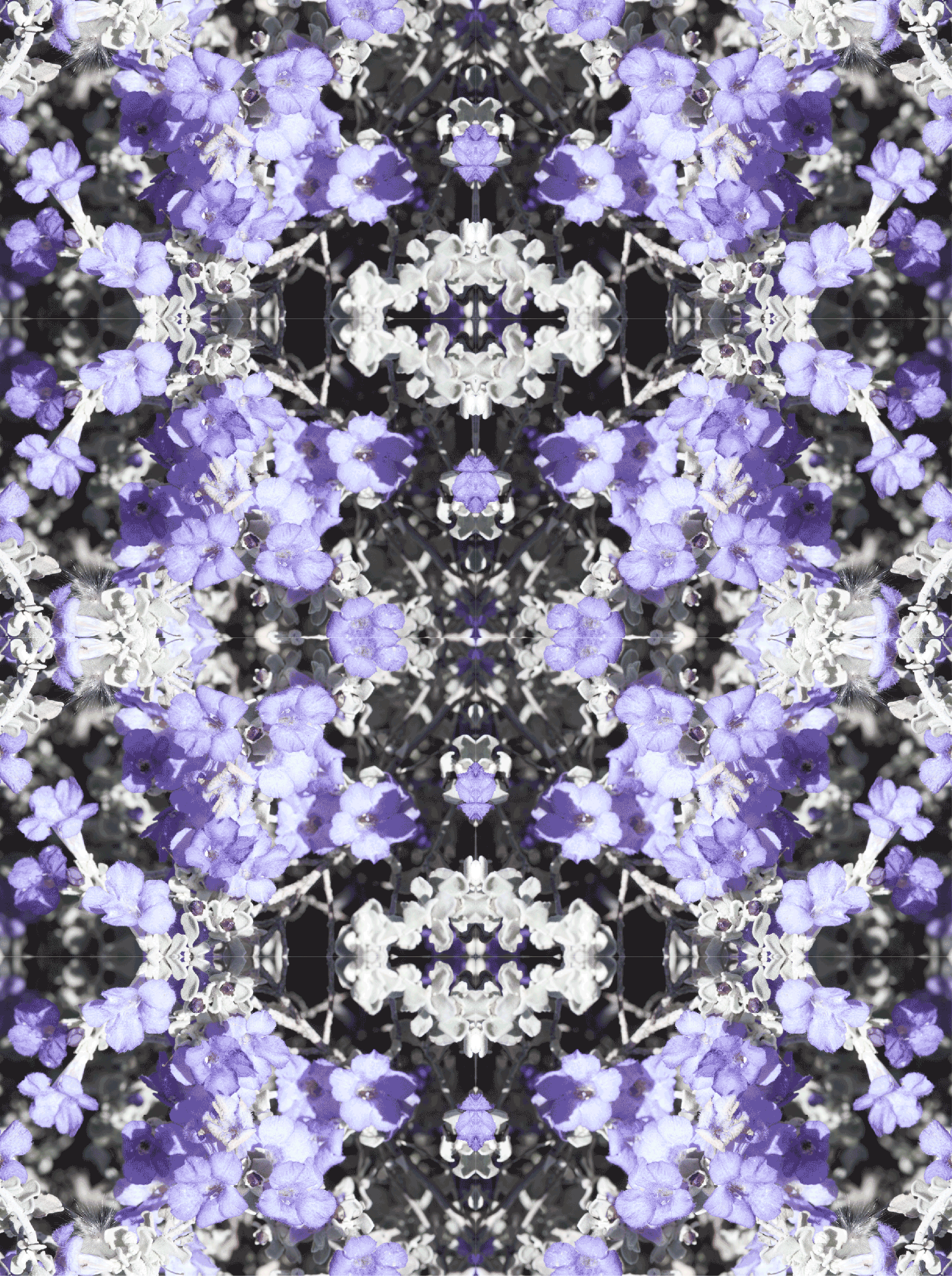 january 2015 purple floral background