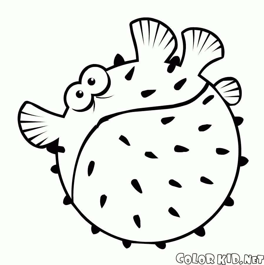 coloring page globefish