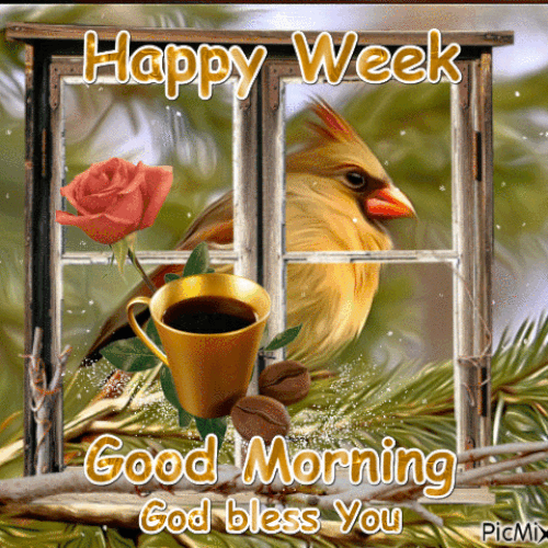 happy week good morning pictures photos and images for