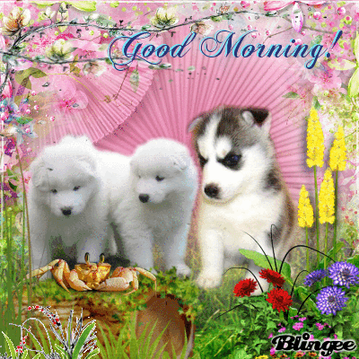 good morning animated picture codes and downloads 129670300