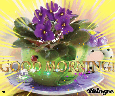 good morning sunshine picture 130014806 blingee com