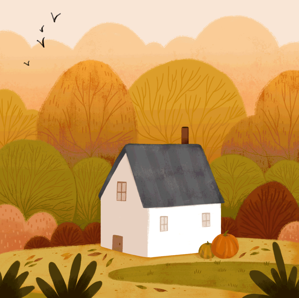 home illustrated gifs on behance animated barn cat