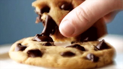 chocolate chip cookie gif find share on giphy medium