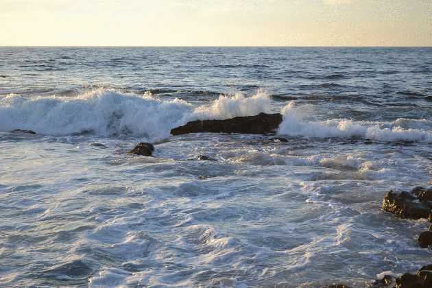 beach ocean florida gif on gifer by dalkree medium