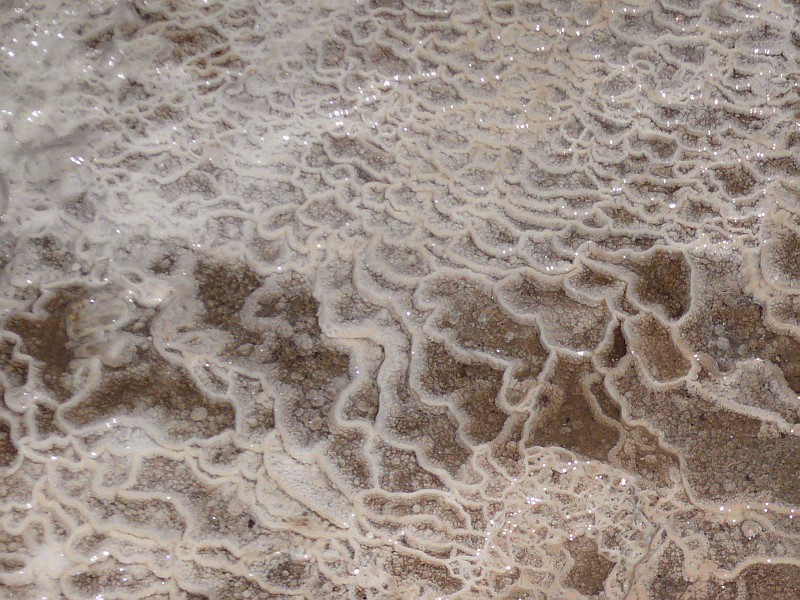 carbonate chemistry rimstone hudson valley geologist medium