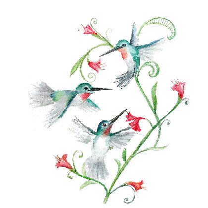 designing the hummingbird trio card quilling religious moving background medium