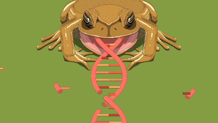 crispr and the splice to survive new yorker i want a pet that will be there for me medium