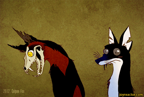 favorite zealot fox culpeo fox gif gif animation medium