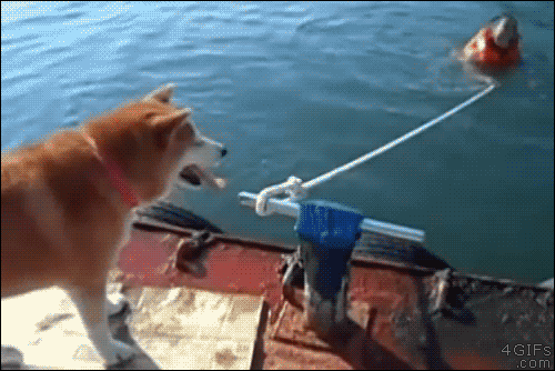 these 21 fail gifs are enough funny to make you smile medium