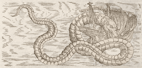 five real sea monsters brought to life by early naturalists medium