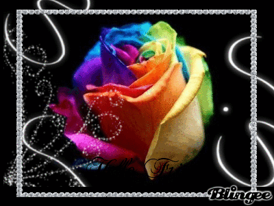 rainbow rose picture 74293526 blingee com medium
