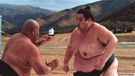 the slow mo guys gavinfree sumo wrestling in 4k download share medium