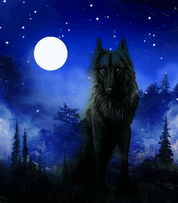 blackwolf similar hashtags picsart tree anime moon gif medium
