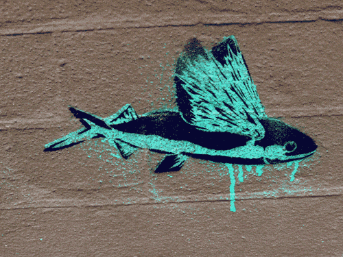 a gif animator makes this graffiti stencil of a flying fish fly medium