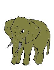 elephants graphics picgifs com medium