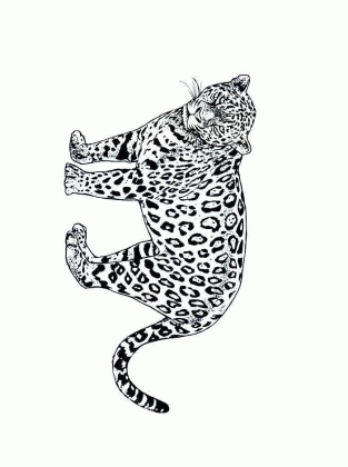 cheetah running animation clipart best cheetah 2018 medium