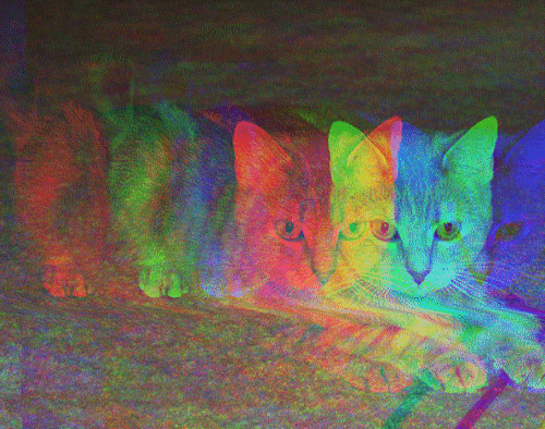 trippy backgrounds cats cats trippy hipster backgrounds blog medium
