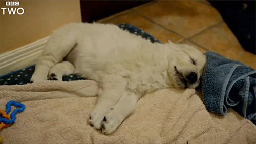 tired bbc two gif by bbc find share on giphy medium