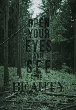 gif beauty text quotes typography words green nature forest amazing medium