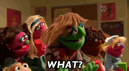 sesame street what gif find share on giphy medium
