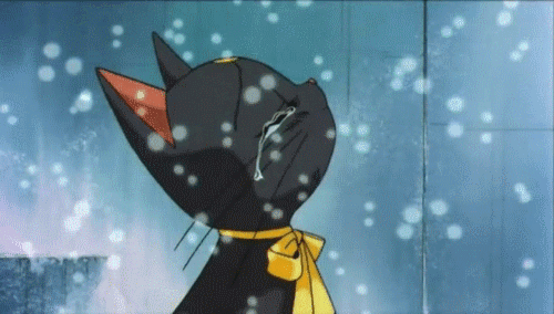 sailor moon black cat gif wifflegif medium