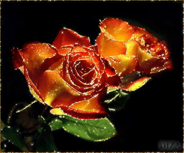 glowing roses flowers fire animated roses burn flame gif glow medium