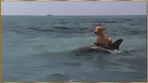 what having a cold feels like in gifs medium
